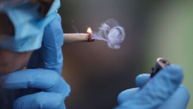 Donde estos 6 principales VC están invirtiendo en cannabis
