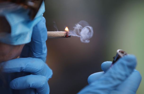 Donde estos 6 principales VC están invirtiendo en cannabis