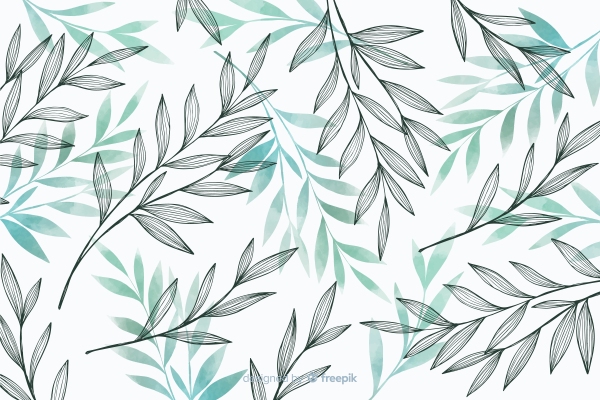 EQT adquiere el mercado de gráficos y fotos de stock freemium, Freepik