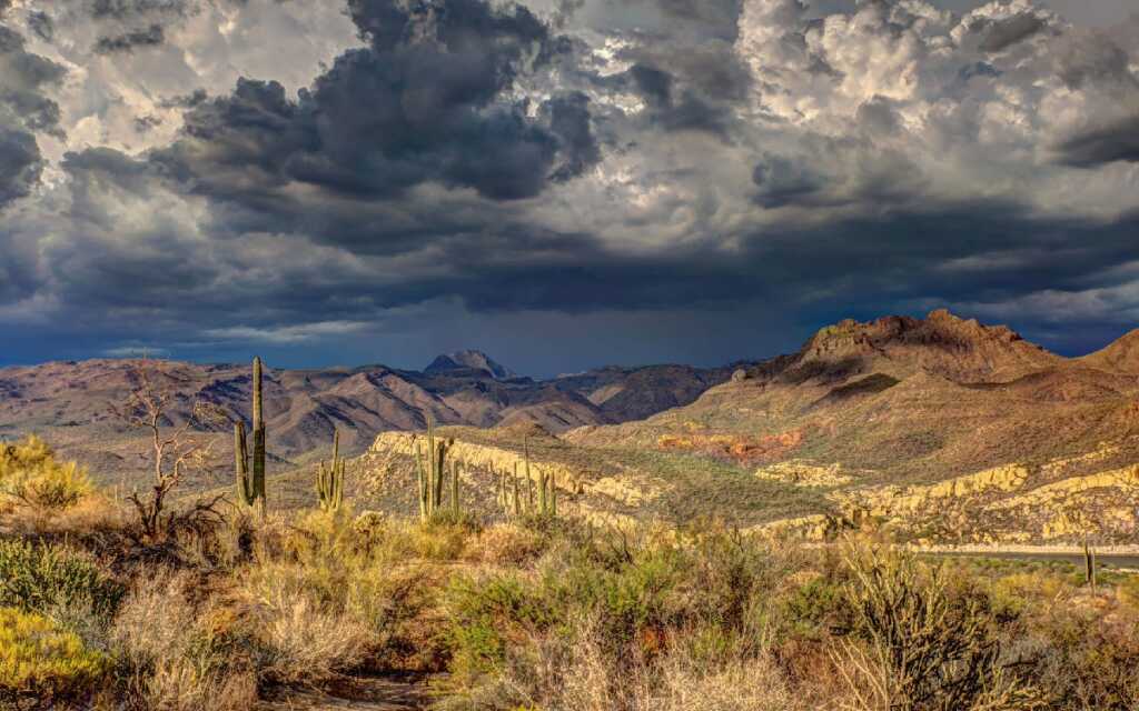 El cambio climático es la puerta a una crisis catastrófica: investigador de la UNAM