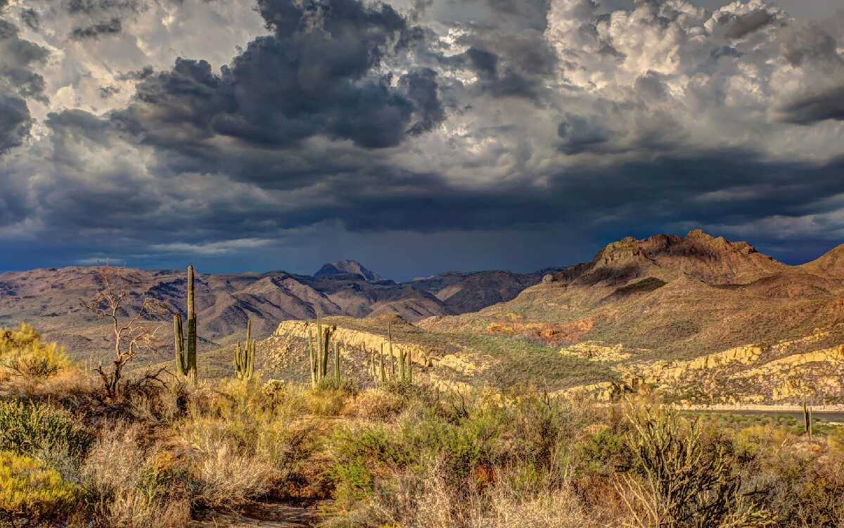 El cambio climático es la puerta a una crisis catastrófica: investigador de la UNAM