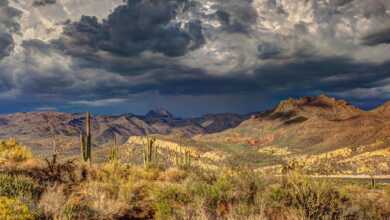 El cambio climático es la puerta a una crisis catastrófica: investigador de la UNAM