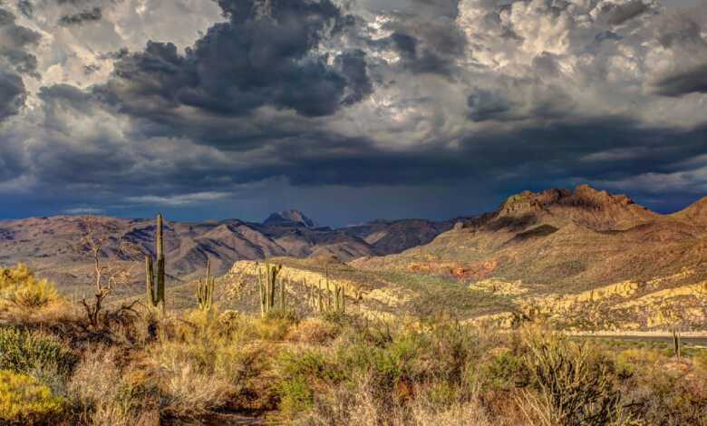 El cambio climático es la puerta a una crisis catastrófica: investigador de la UNAM