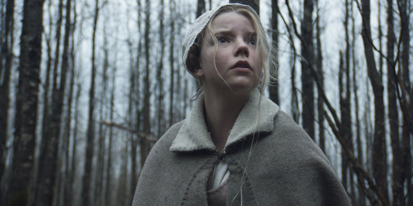 El director de Northman, Robert Eggers, no puede soportar la aclamada primera película The Witch
