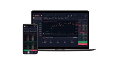 El intercambio criptográfico indio CoinDCX supera la valoración de $ 2 mil millones en una nueva financiación de $ 135 millones