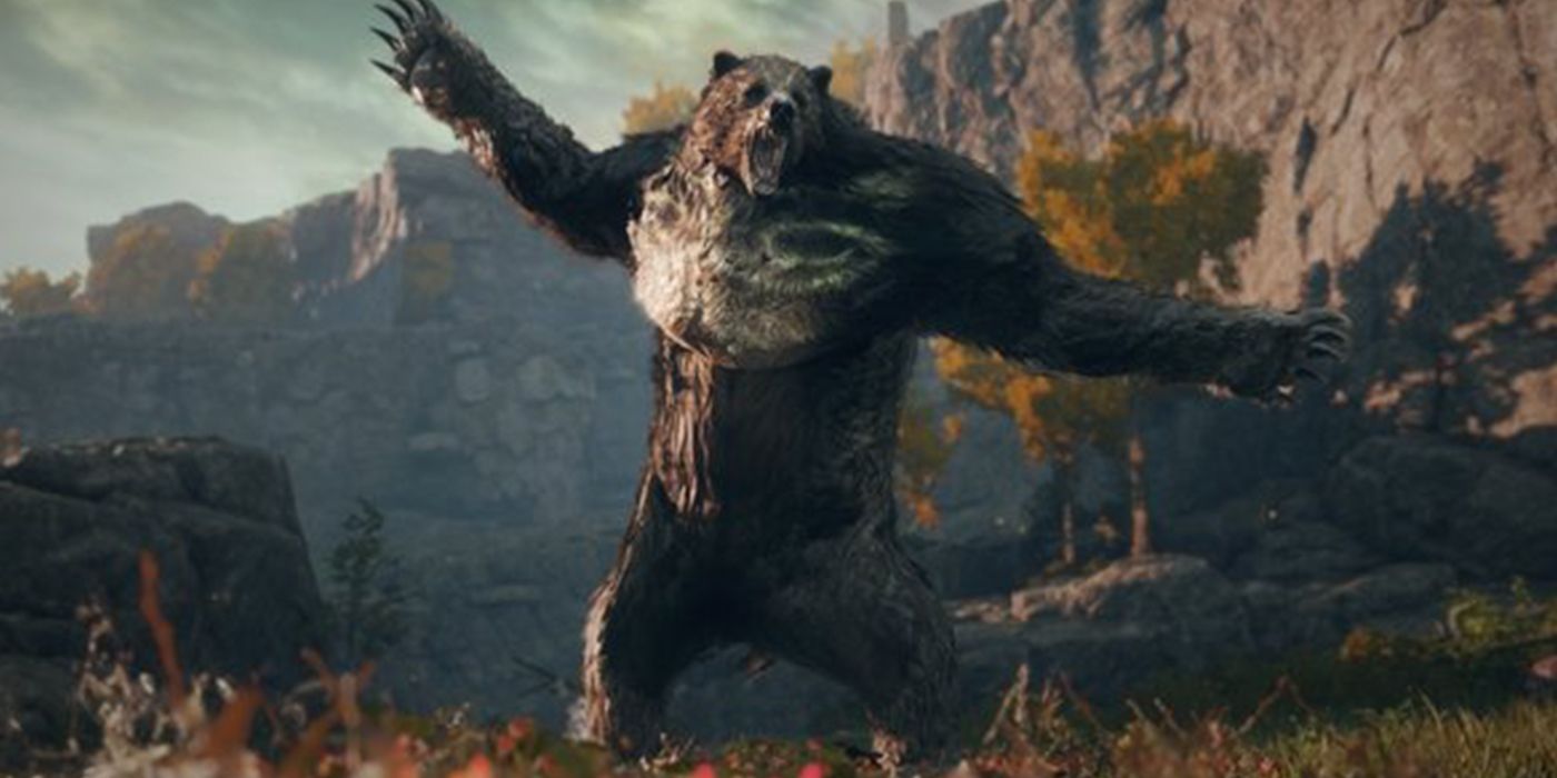 El jugador de Elden Ring encuentra una manera fácil de disparar un Runebear