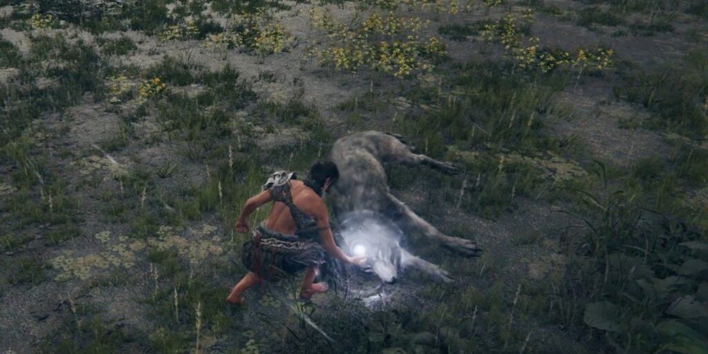 El minero de datos de Elden Ring descubre un mecanismo de robo de sueños cortado