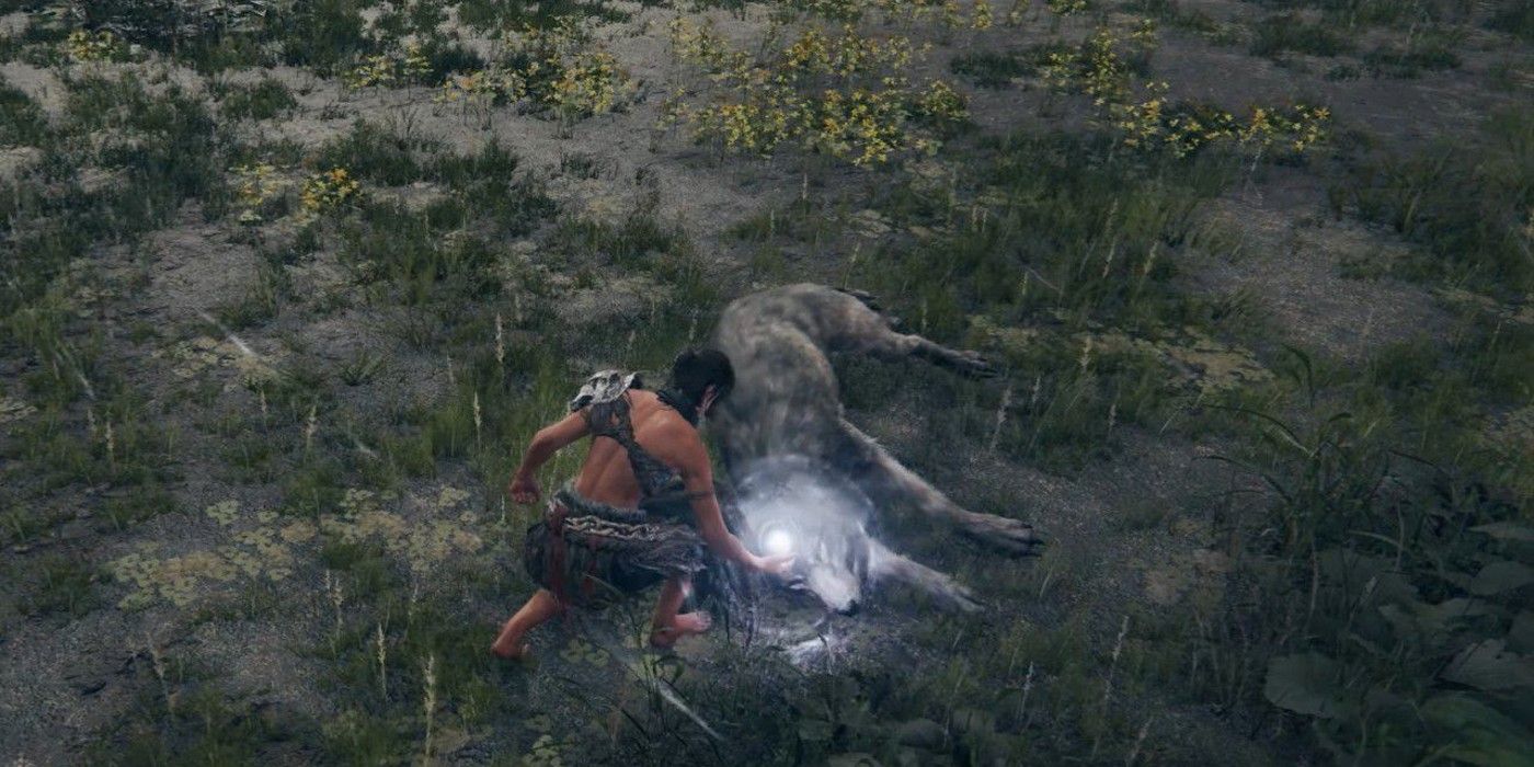 El minero de datos de Elden Ring descubre un mecanismo de robo de sueños cortado