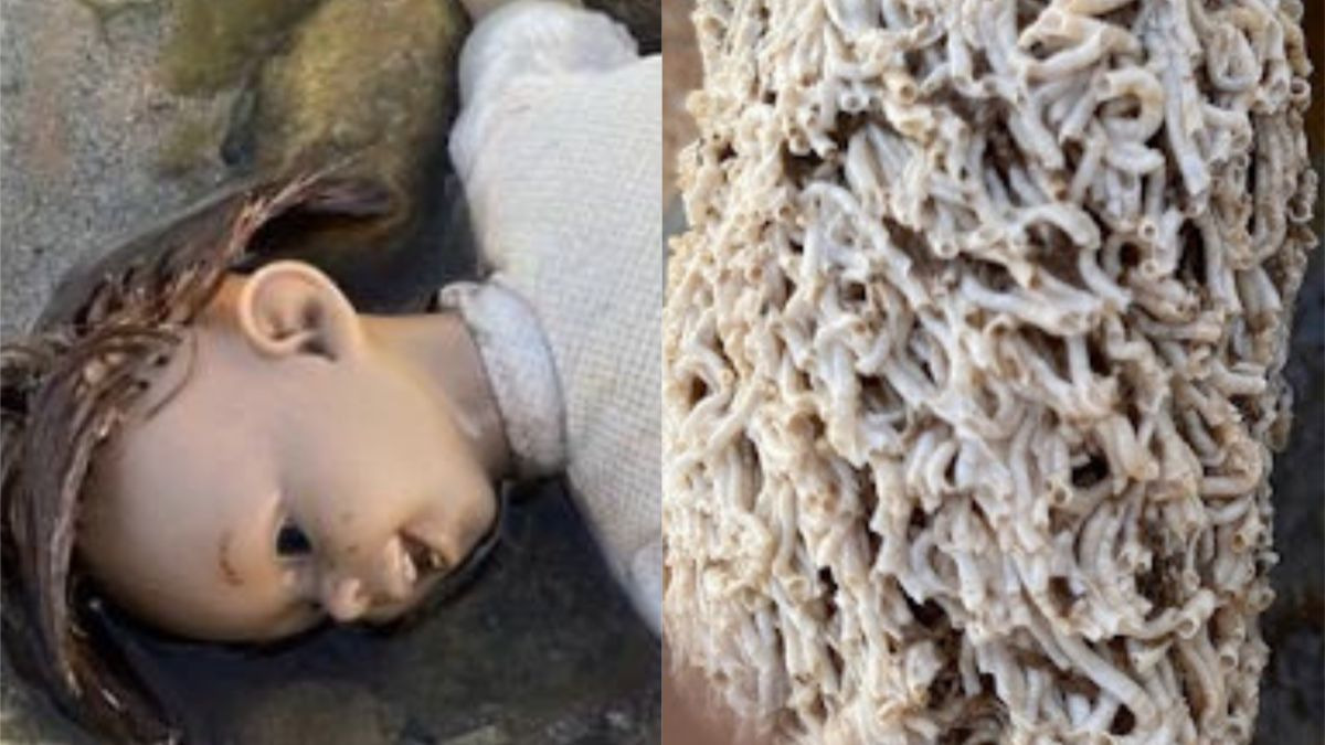 El misterio de la muñeca diabólica del Mar Menor