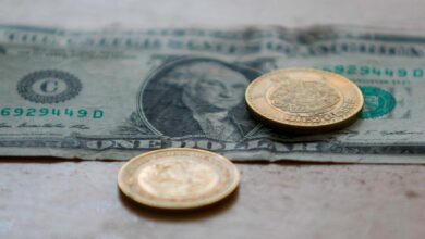 El peso retrocede levemente a la espera de los datos de inflación de Estados Unidos