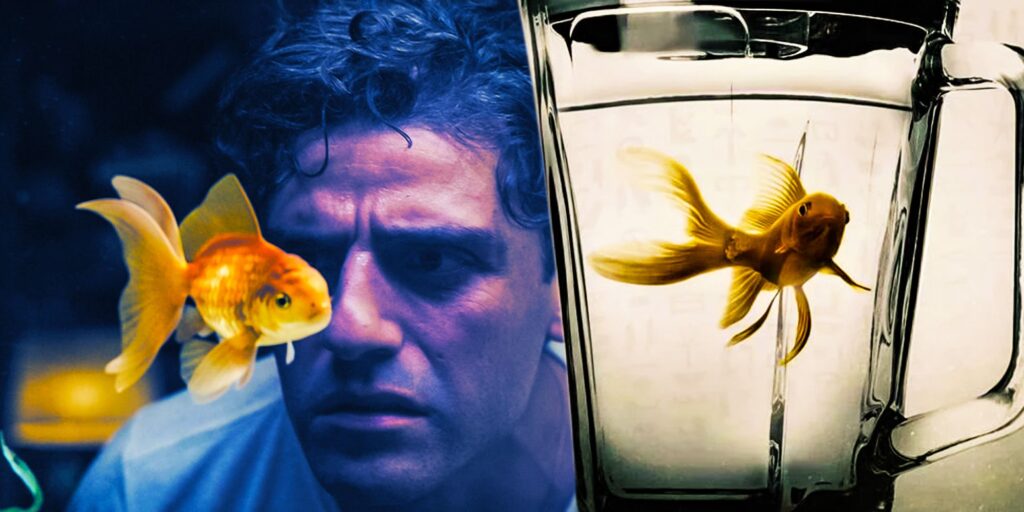 El pez dorado es la clave del misterio del Caballero Luna de Steven