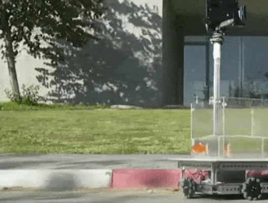 El pez está conduciendo de nuevo