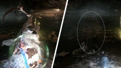 Elden Ring: Cómo derrotar al asesino invisible Black Knife
