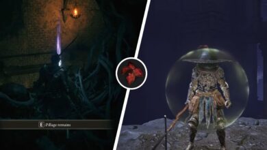 Elden Ring: cómo cultivar (y usar) la hoja de Arteria