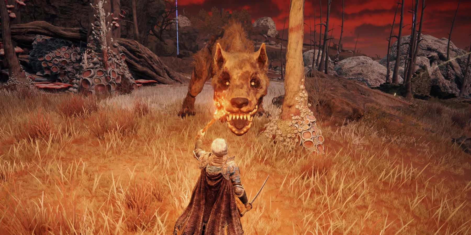 Elden Ring: dónde conseguir la antorcha repelente de bestias