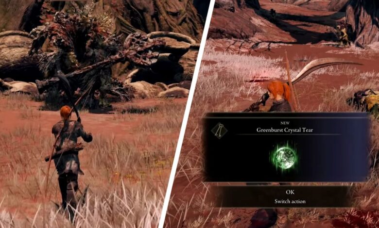Elden Ring: dónde encontrar la lágrima de cristal Greenburst