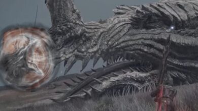 Elden Ring: por qué no deberías matar al gran dragón blanco de Caelid