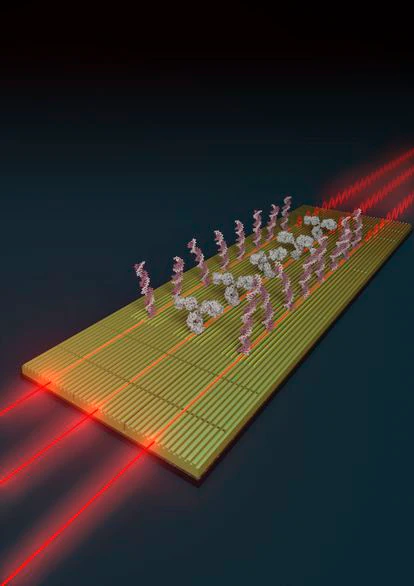 Nanochips para diagnosticar enfermedades con gotas de fluido humano.