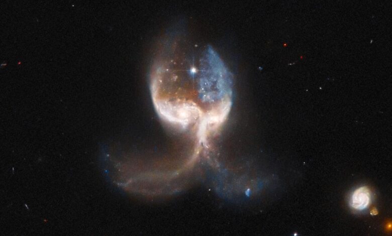 Estas galaxias fusionadas parecen alas masivas, y la NASA tiene una foto