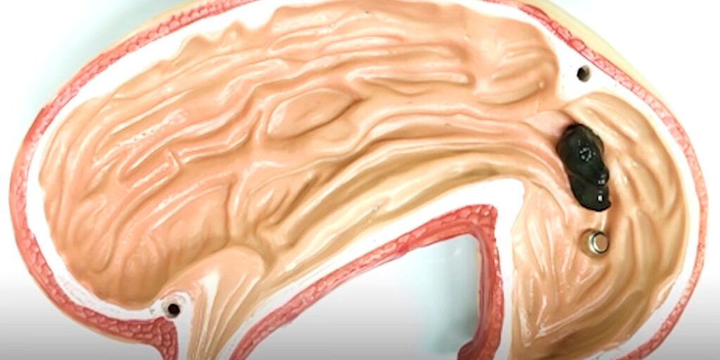 Este robot de limo magnético puede moverse a través de espacios reducidos y agarrar cosas