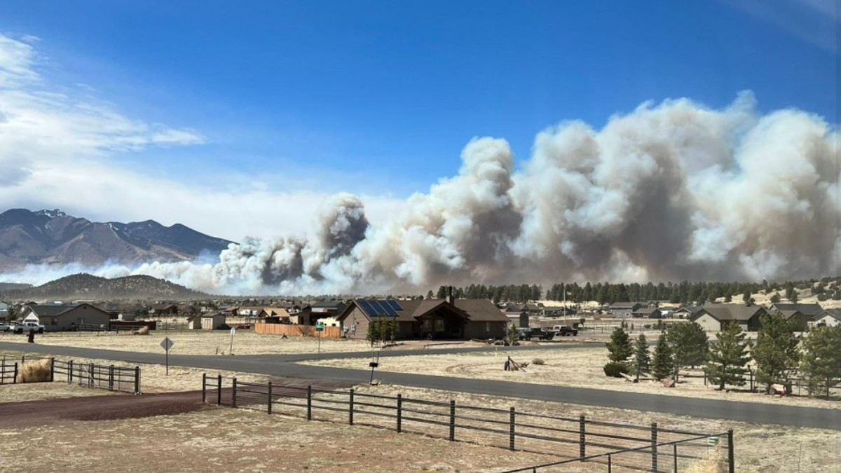 Esto es lo que debes saber