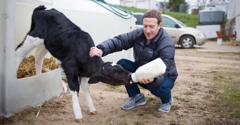 Facebook enseñará a los desempleados habilidades digitales/redes sociales en 30 ciudades