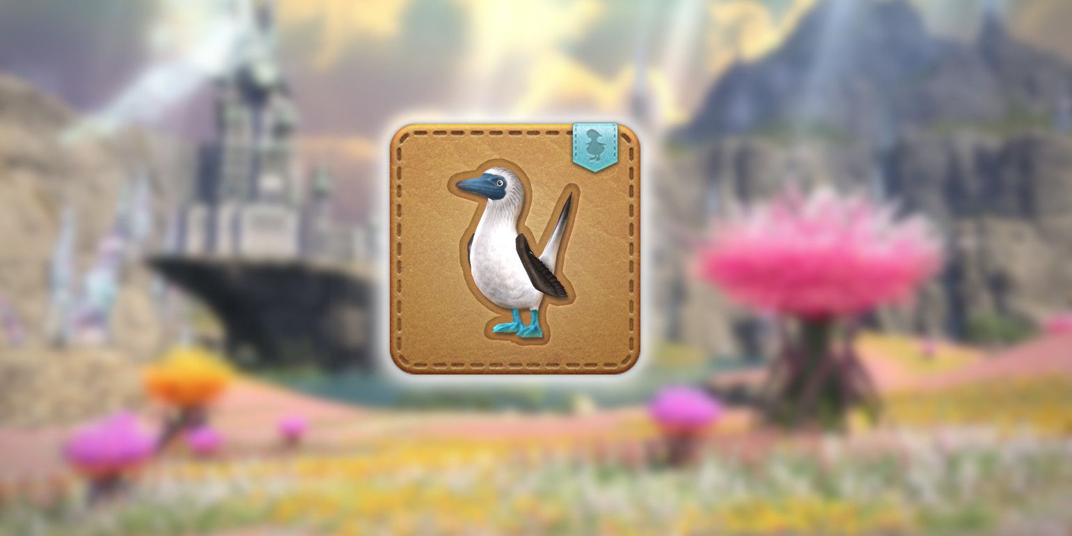 Final Fantasy XIV: Cómo conseguir el esbirro piquero de patas azules