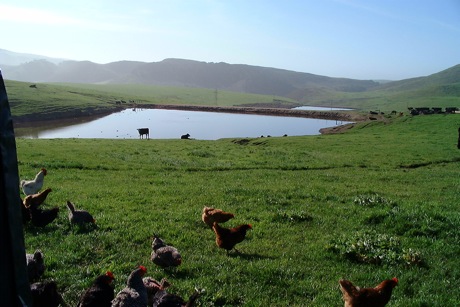 Food Is The New Frontier In Green Tech