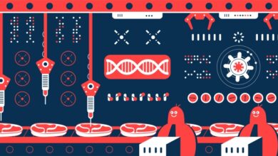 Future Fields está abordando el mayor problema de la carne cultivada