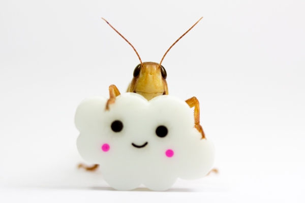 Google Cloud permite a las empresas crear sus propias voces de texto a voz