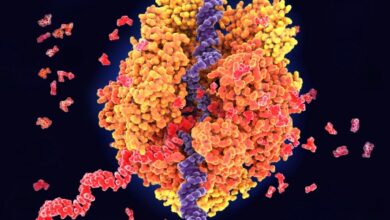 GreenLight Biosciences recauda $ 17 millones para aumentar la producción de ARNm para los ensayos de candidatos a vacunas COVID-19