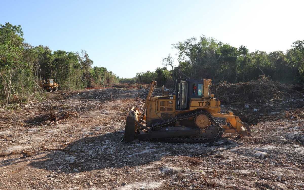Greenpeace celebra suspensión de tramo 5 del Tren Maya