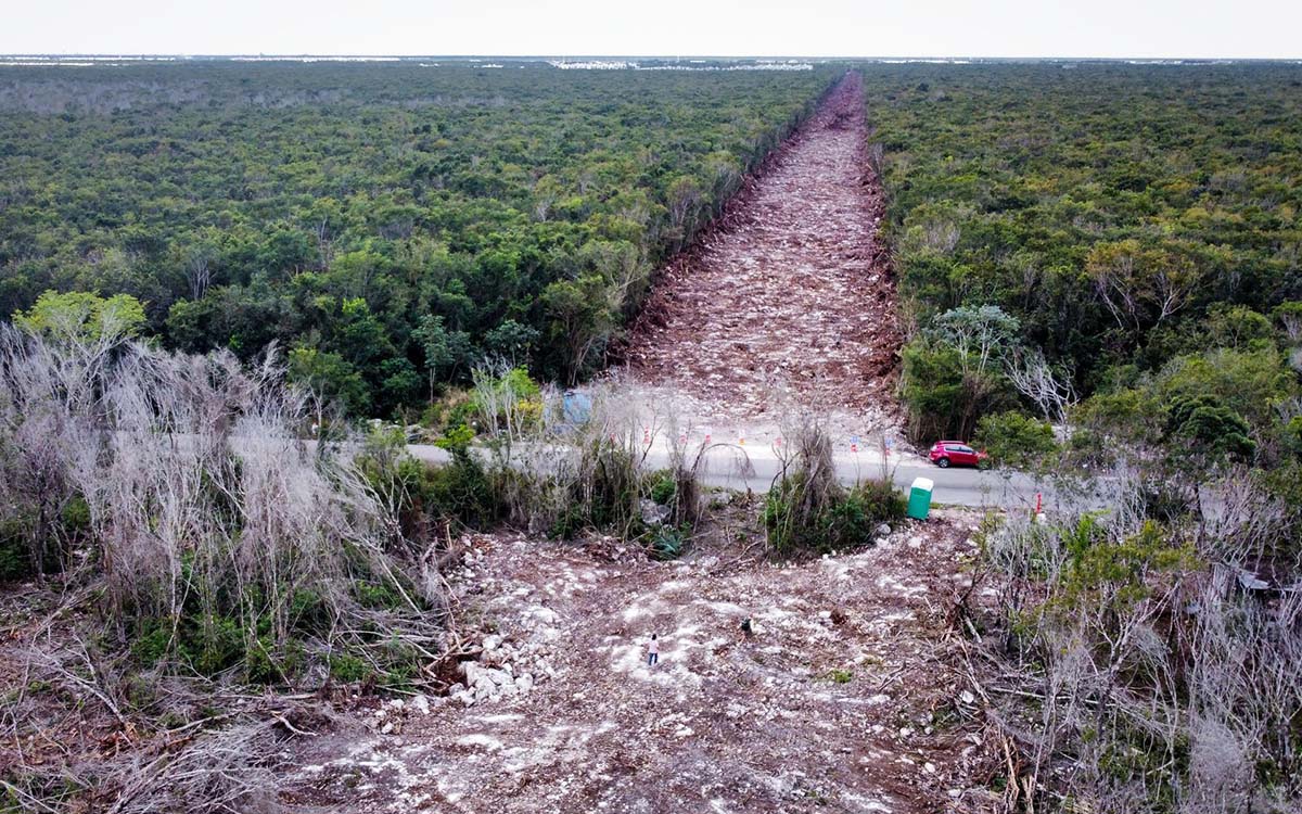 Greenpeace presenta demanda por contra Tramo 5 del Tren Maya por falta de Manifestación de Impacto Ambiental
