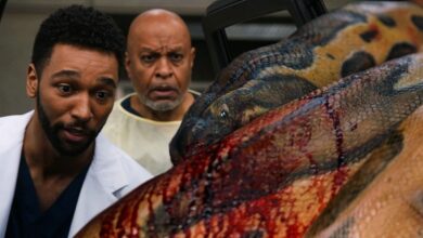 Grey's Anatomy S18 Finalmente recordado Sabe cómo ser divertido