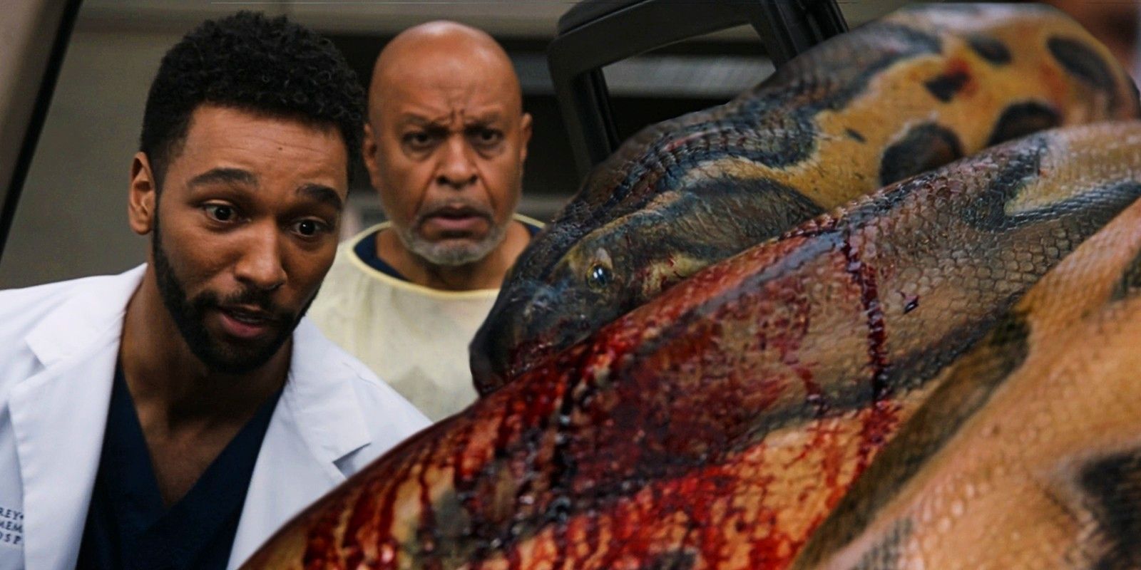 Grey's Anatomy S18 Finalmente recordado Sabe cómo ser divertido