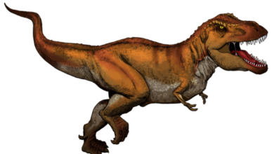 Hacer que sea ilegal reprobar a los estudiantes de ciencias que argumentan que los humanos coexistieron con los dinosaurios