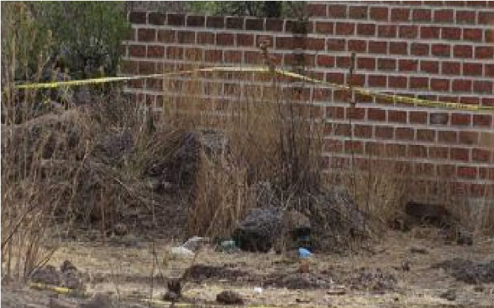 Hallan 13 cuerpos y osamentas humanas en una fosa clandestina