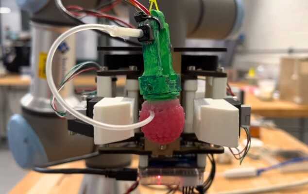 He aquí la robo-baya