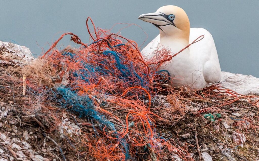 Impacta la humanidad tres cuartas partes de la Tierra y dos tercios de océanos