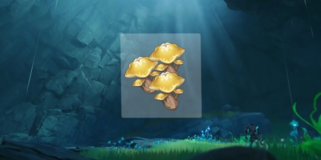 Impacto de Genshin: dónde encontrar Starshroom