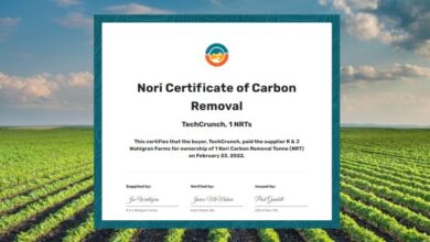 Inmune a la ironía, Nori pone un mercado de carbono en la cadena de bloques