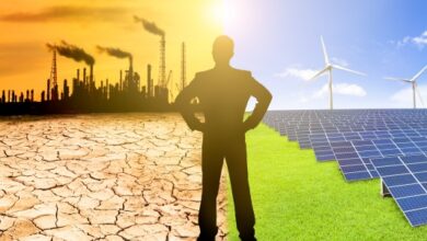 Inversores y empresarios optimistas sobre el almacenamiento de energía, China y el Internet de las cosas