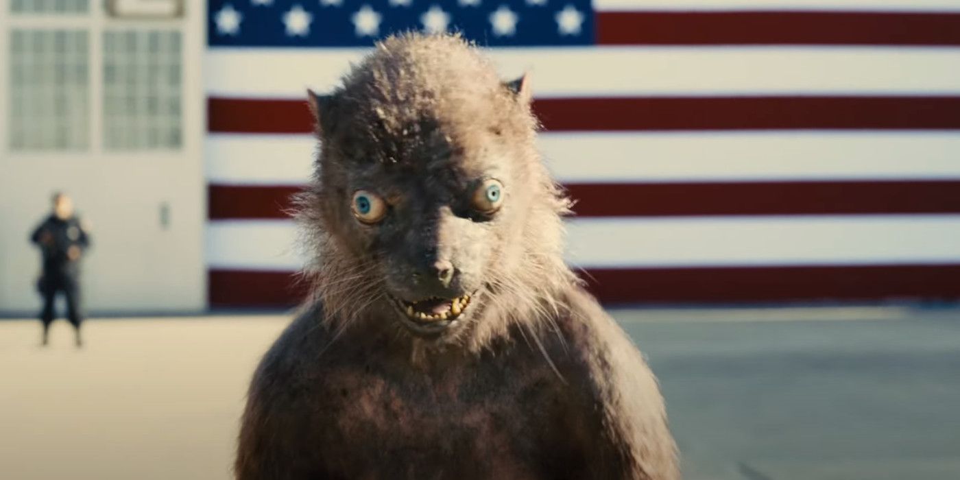 James Gunn da una actualización sobre la comadreja de Suicide Squad y su futuro en DC