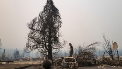 Kettle reserva $25M para su plataforma de reaseguro contra incendios y otras catástrofes