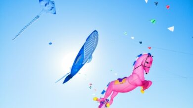 Kite agrega soporte para 11 nuevos idiomas a su herramienta de finalización de código AI