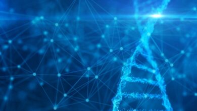 La convergencia de las redes neuronales profundas y la inmunoterapia