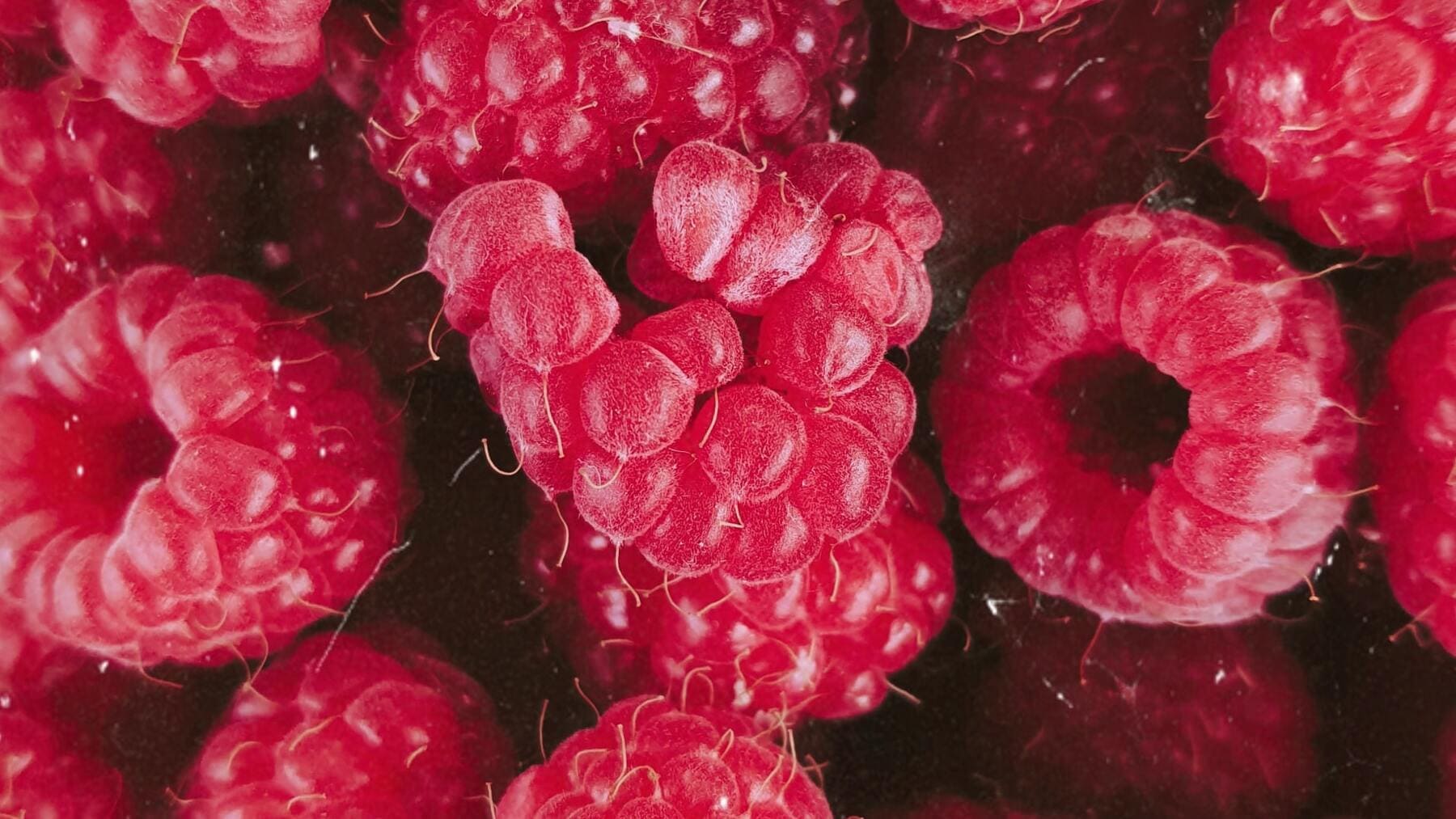 La diferencia entre la mora y la frambuesa