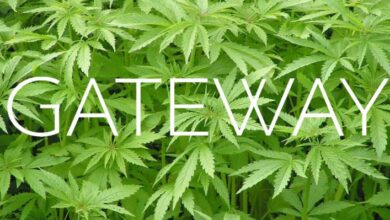 La incubadora de empresas emergentes de marihuana "Gateway" se enciende