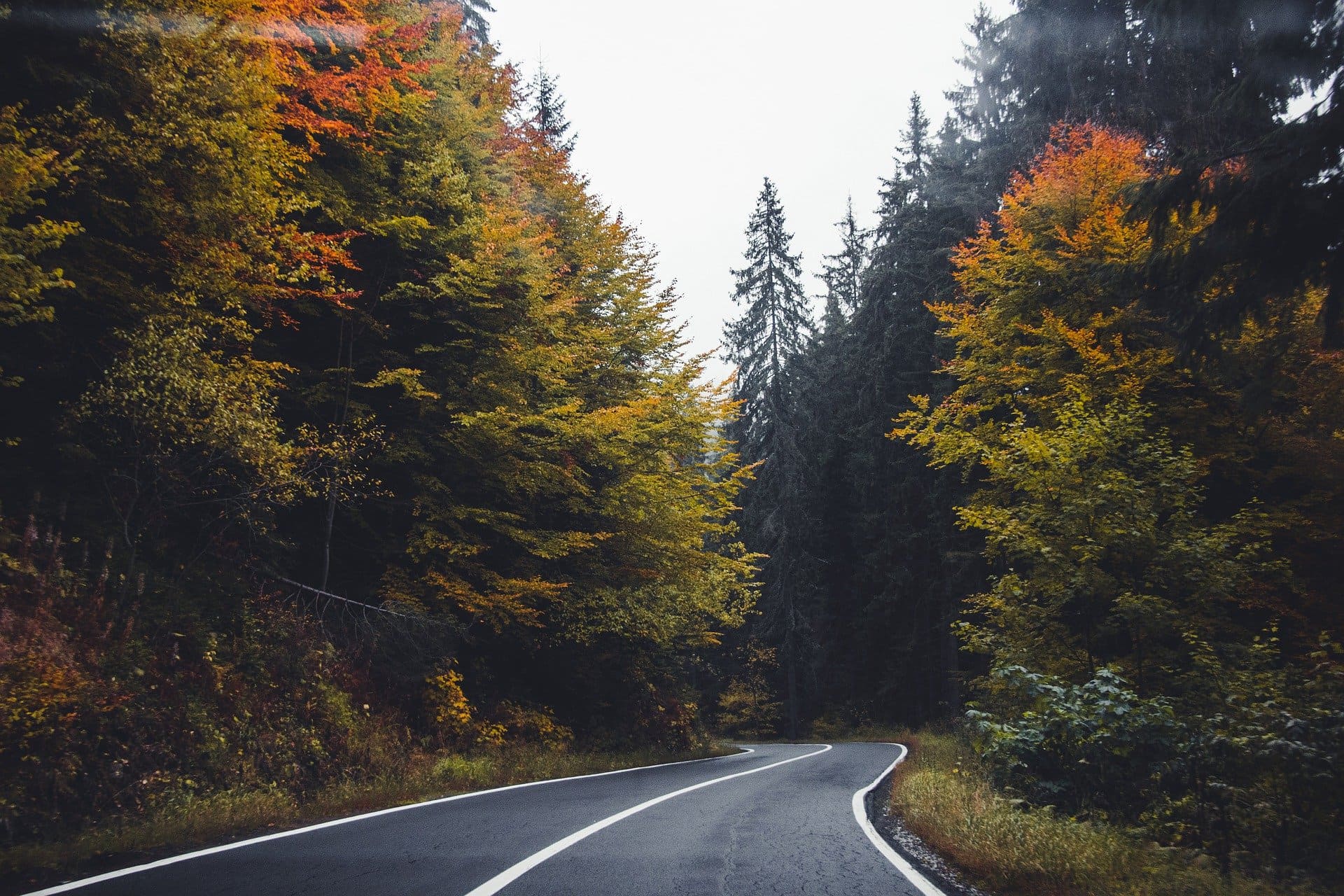 La llamativa razón por la que el asfalto de las carreteras es negro