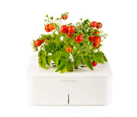 La maceta electrónica elimina las conjeturas de la jardinería